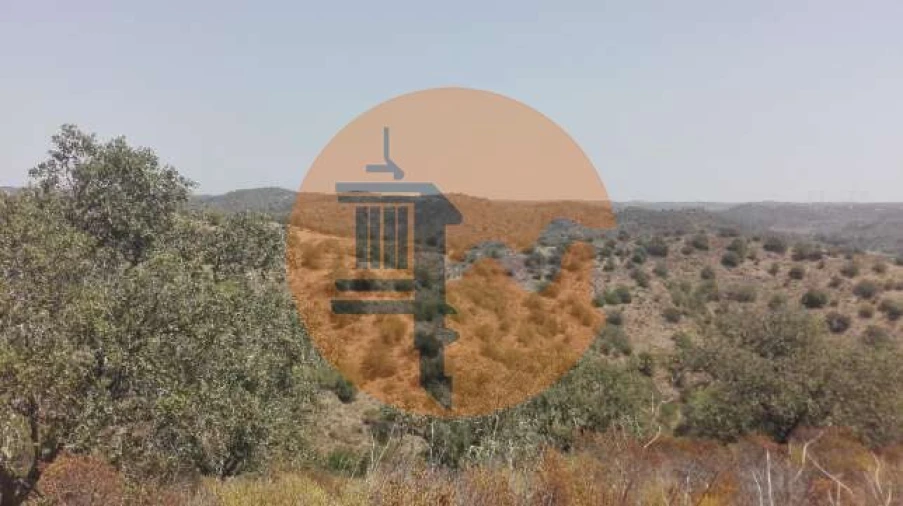 Terreno para Venda em Alcoutim e Pereiro Foto 5