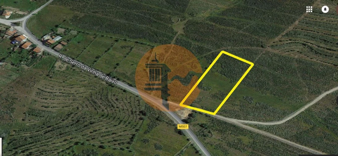 Terreno para Venda em Alcoutim e Pereiro Foto 2