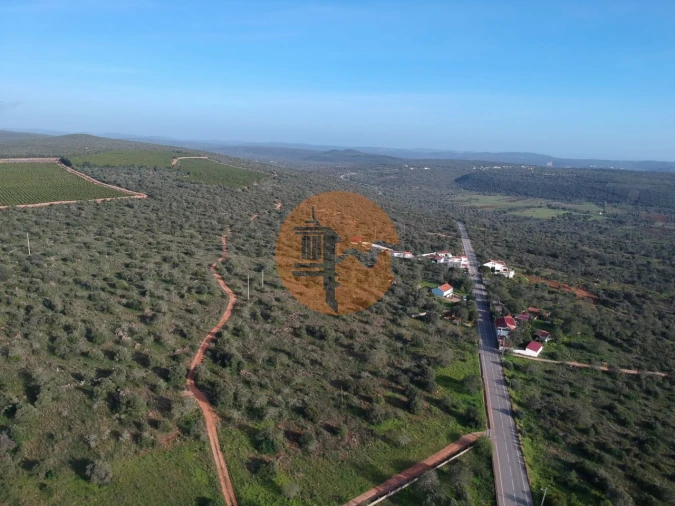 Terreno para Venda em Querença, Tôr e Benafim Foto 12
