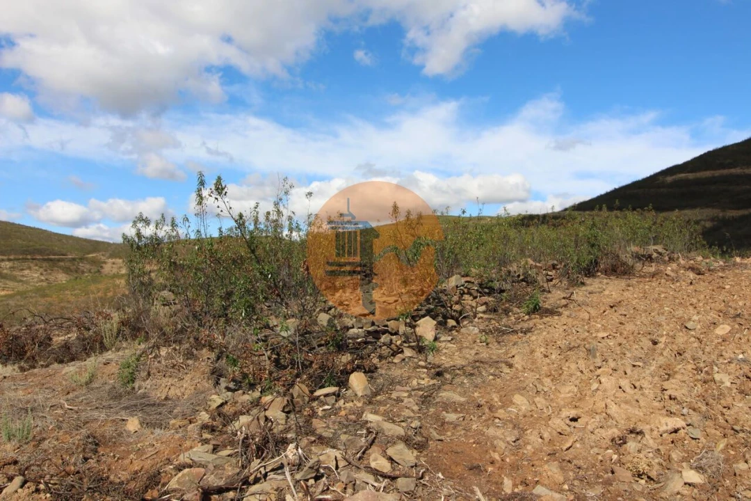 Terreno para Venda em Tavira (Santa Maria e Santiago) Foto 7