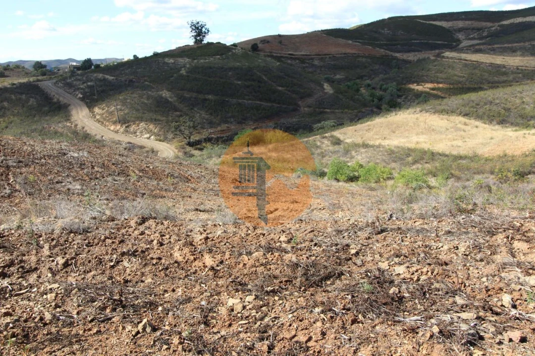 Terreno para Venda em Tavira (Santa Maria e Santiago) Foto 10