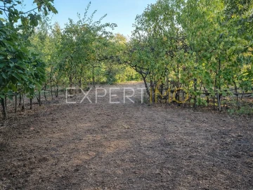 Moradia T5 para Venda em São João da Boa Vista