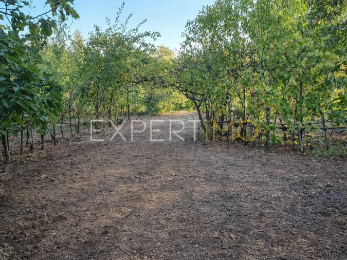 Moradia T5 para Venda em São João da Boa Vista Foto 22