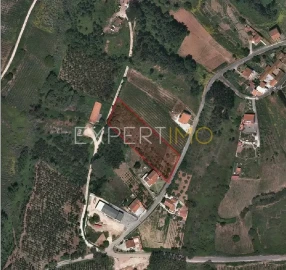 Terreno para Venda em Alvorninha