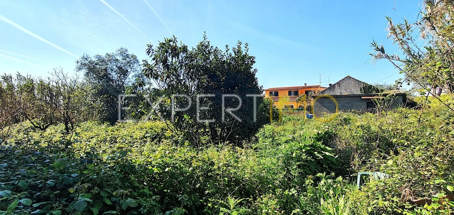 Moradia T1 para Venda em Antuzede e Vil de Matos Foto 16