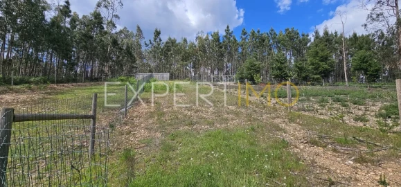 Moradia T4 para Venda em Pombal