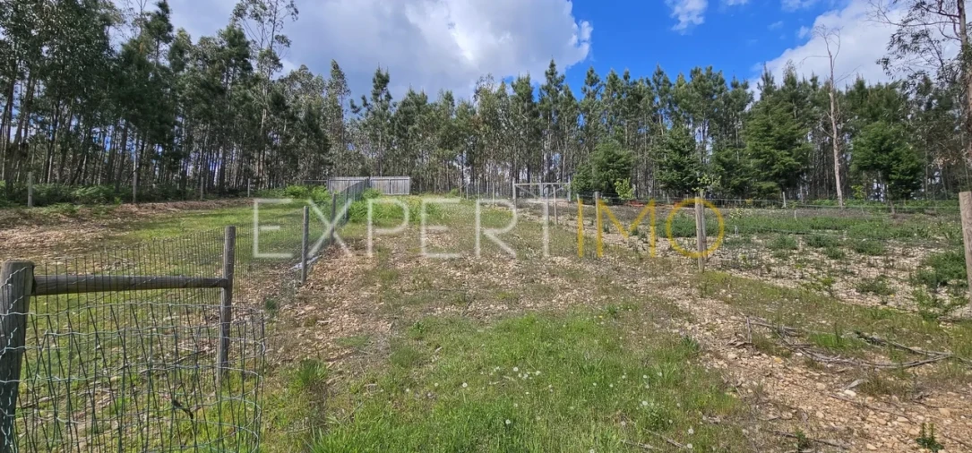 Moradia T4 para Venda em Pombal Foto 32