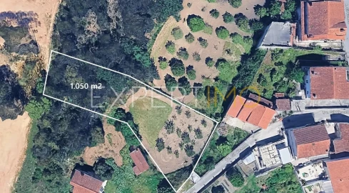 Terreno para Venda em São Martinho do Bispo e Ribeira de Frades
