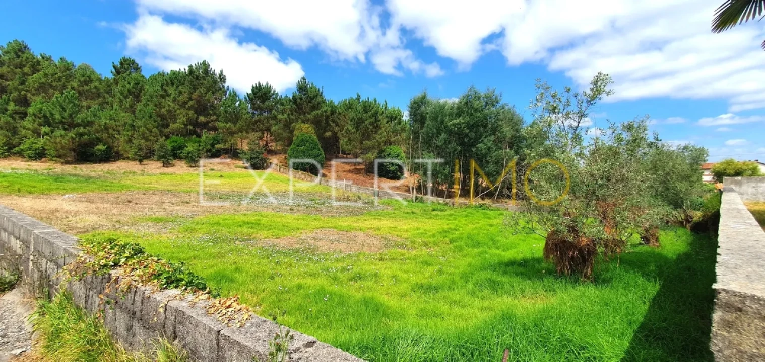 Terreno para Venda em São Martinho do Bispo e Ribeira de Frades Foto 9