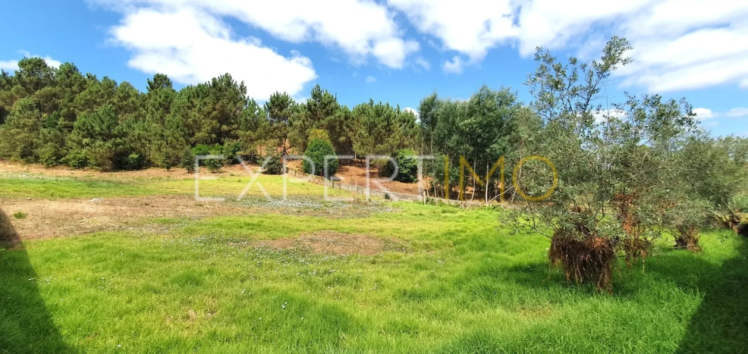 Terreno para Venda em São Martinho do Bispo e Ribeira de Frades Foto 12