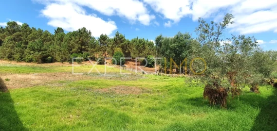 Terreno para Venda em São Martinho do Bispo e Ribeira de Frades