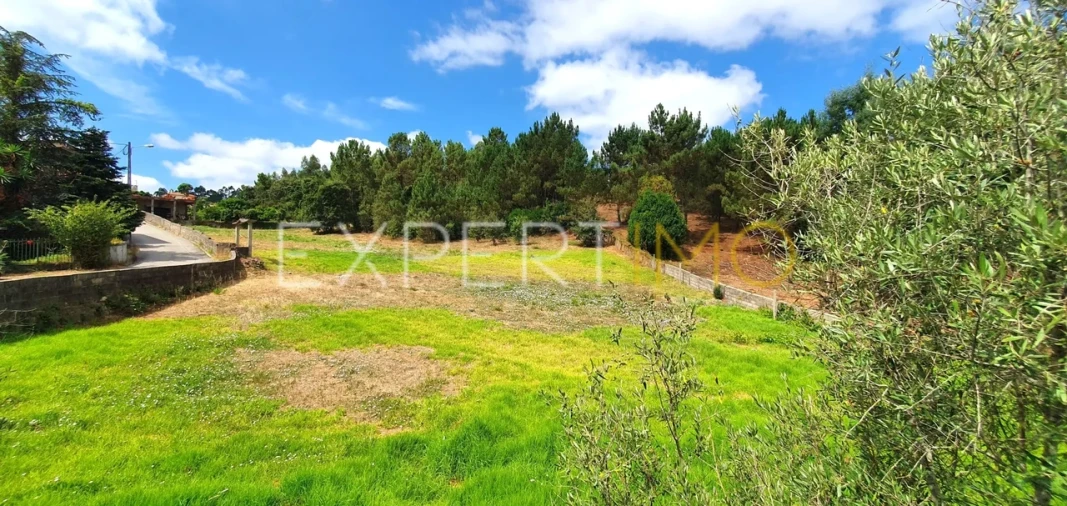 Terreno para Venda em São Martinho do Bispo e Ribeira de Frades Foto 3