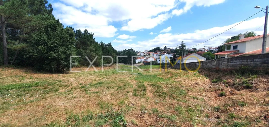 Terreno para Venda em São Martinho do Bispo e Ribeira de Frades Foto 10