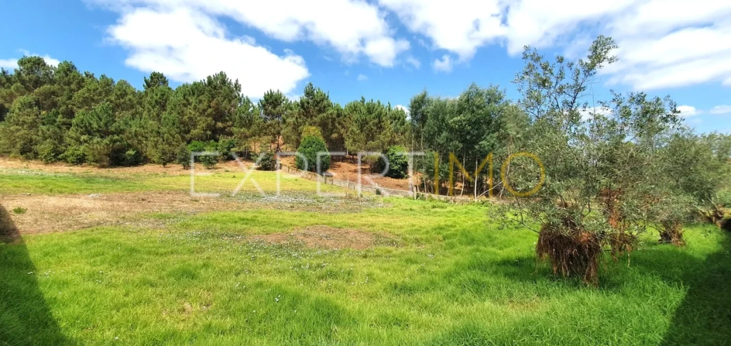 Terreno para Venda em São Martinho do Bispo e Ribeira de Frades Foto 12