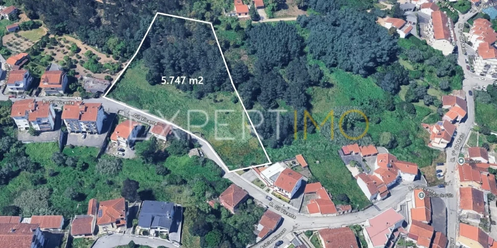Terreno para Venda em São Martinho do Bispo e Ribeira de Frades Foto 14
