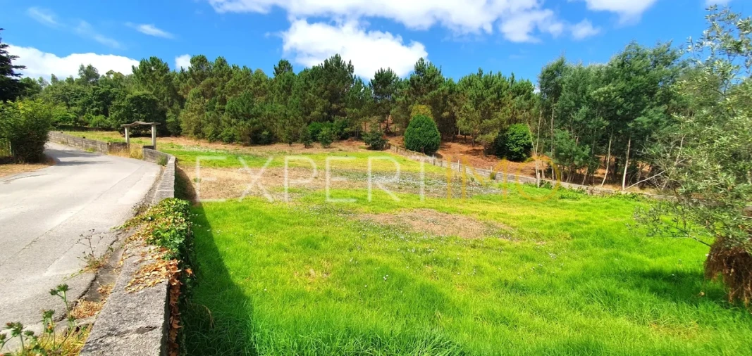 Terreno para Venda em São Martinho do Bispo e Ribeira de Frades Foto 15