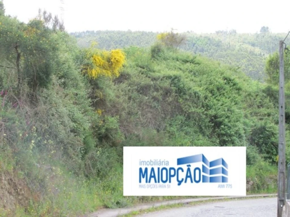 Terreno para Venda em São Tomé de Negrelos Foto 2