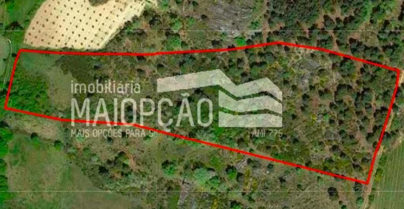 Terreno para Venda em Alverca da Beira/Bouça Cova Foto 1