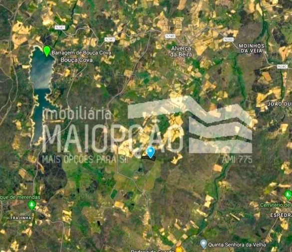 Terreno para Venda em Alverca da Beira/Bouça Cova Foto 3