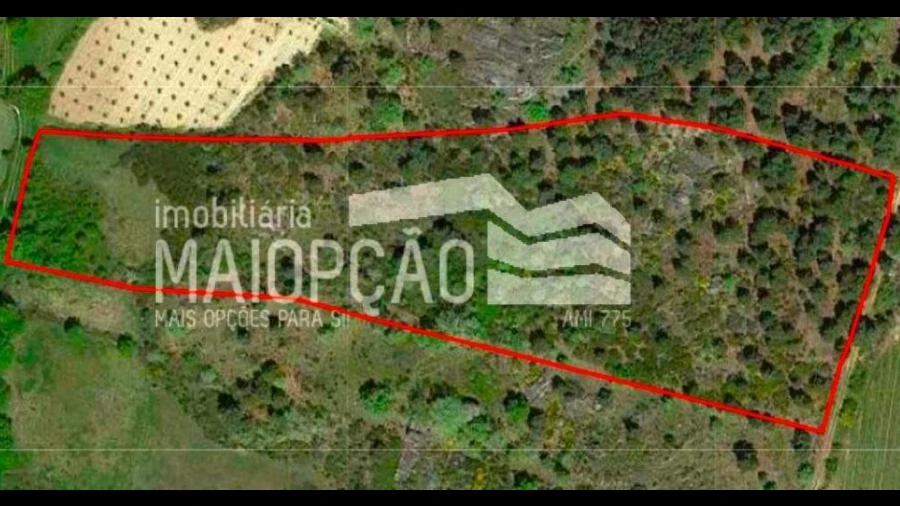 Terreno para Venda em Alverca da Beira/Bouça Cova