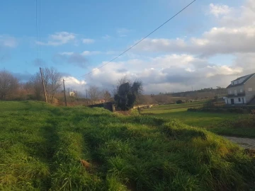 Terreno para Venda em Sabugal e Aldeia de Santo António