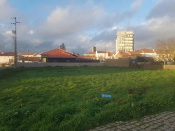 Terreno para Venda em Sabugal e Aldeia de Santo António