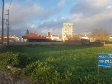 Terreno para Venda em Sabugal e Aldeia de Santo António