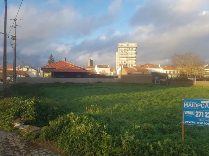 Terreno para Venda em Sabugal e Aldeia de Santo António Foto 8