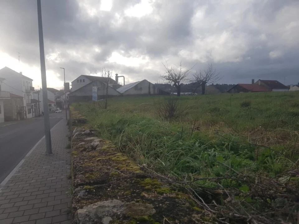 Terreno para Venda em Sabugal e Aldeia de Santo António Foto 2