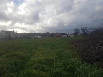 Terreno para Venda em Sabugal e Aldeia de Santo António