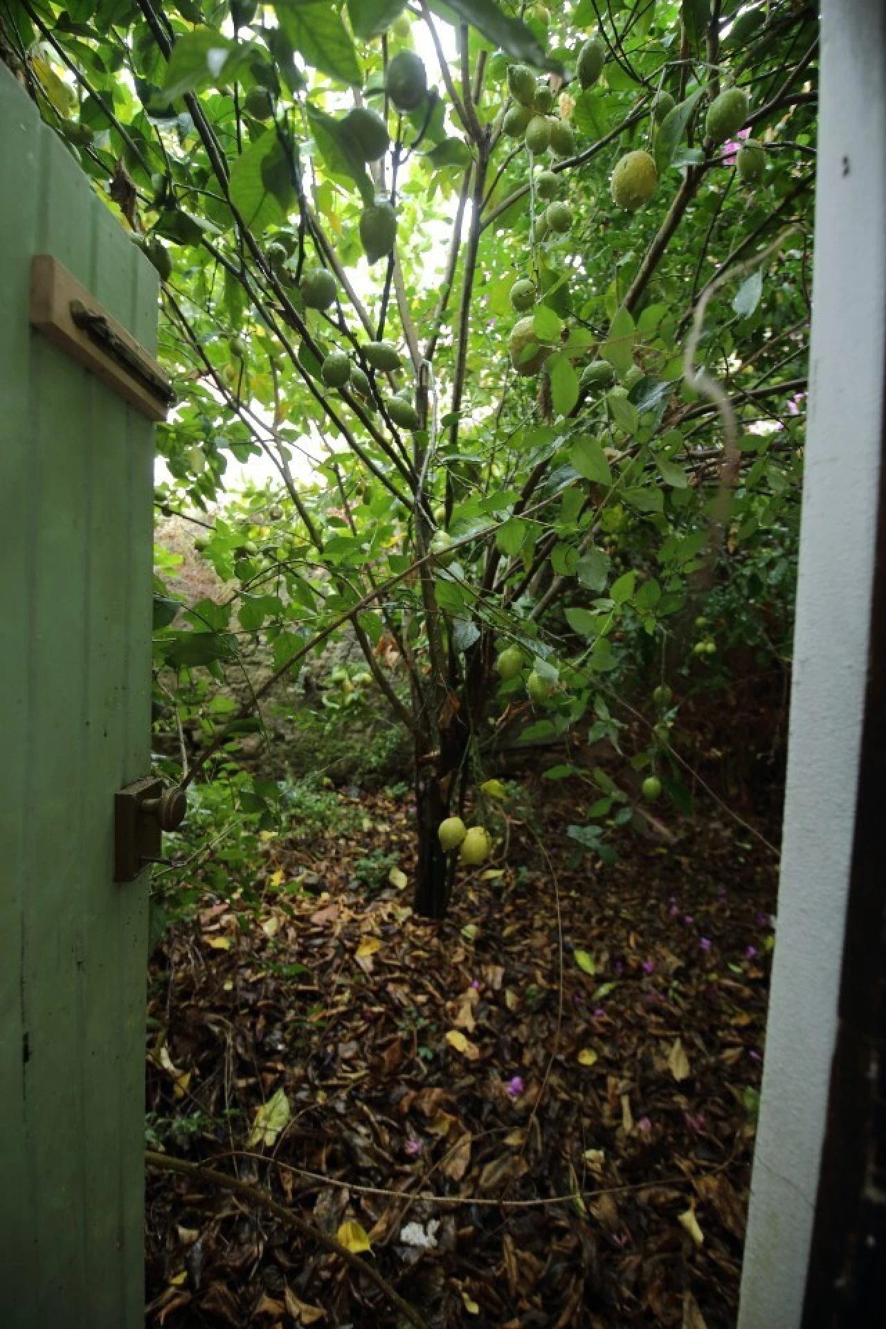 Armazém para Venda em Santa Maria, São Pedro e Sobral da Lagoa Foto 9