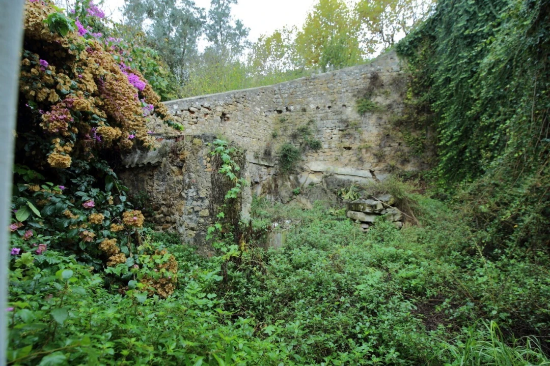 Armazém para Venda em Santa Maria, São Pedro e Sobral da Lagoa Foto 11