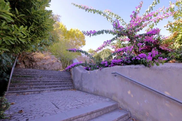 Armazém para Venda em Santa Maria, São Pedro e Sobral da Lagoa Foto 3