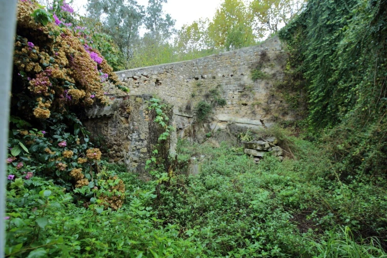 Armazém para Venda em Santa Maria, São Pedro e Sobral da Lagoa Foto 11
