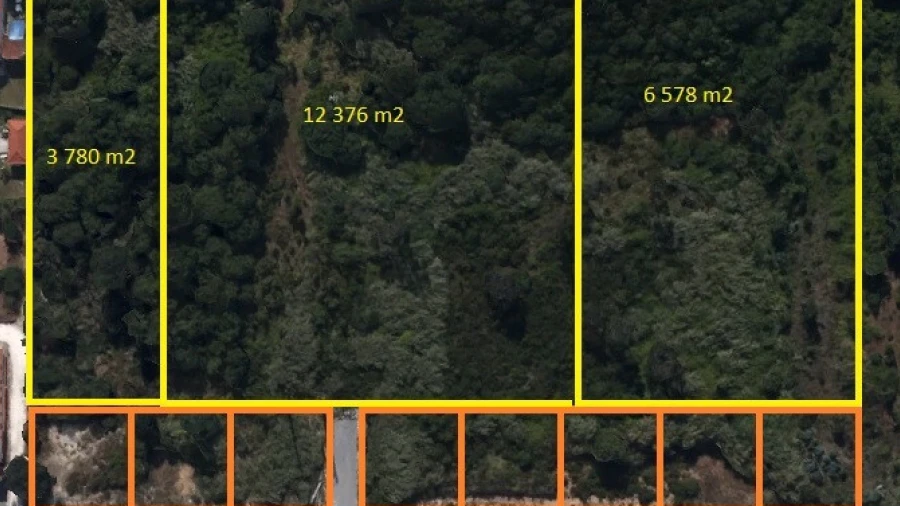 Terreno para Venda em Tornada e Salir do Porto