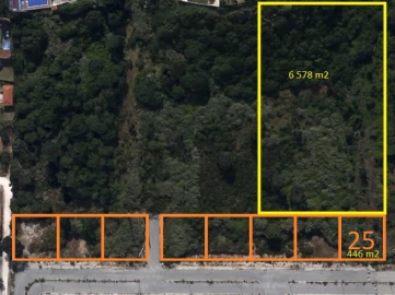 Terreno para Venda em Tornada e Salir do Porto