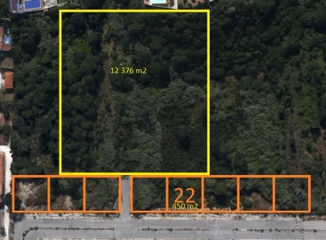 Terreno para Venda em Tornada e Salir do Porto
