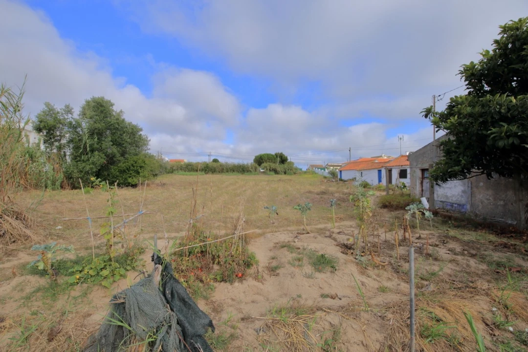 Terreno para Venda em Tornada e Salir do Porto Foto 4