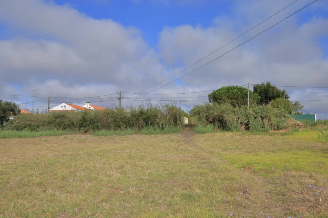 Terreno para Venda em Tornada e Salir do Porto Foto 5