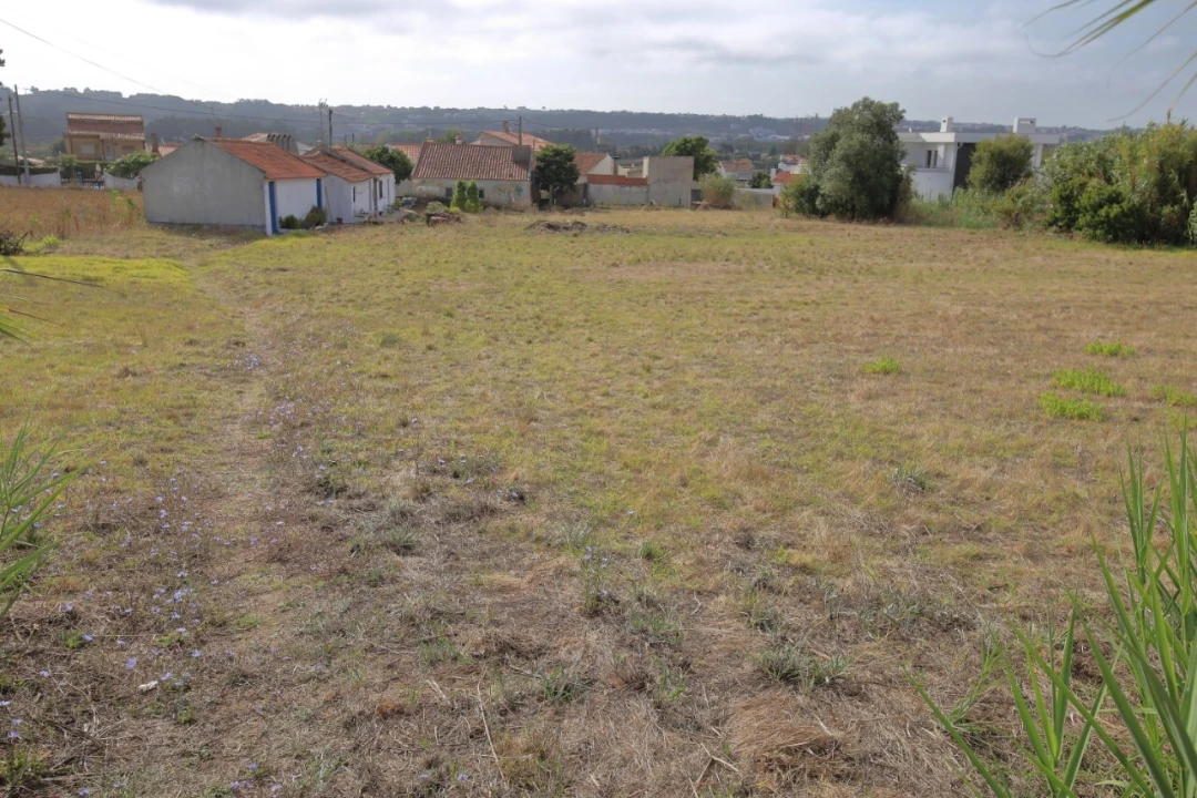 Terreno para Venda em Tornada e Salir do Porto Foto 6