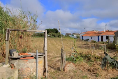 Terreno para Venda em Tornada e Salir do Porto