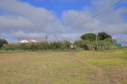 Terreno para Venda em Tornada e Salir do Porto