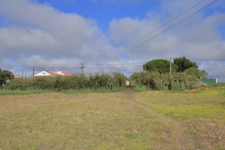 Terreno para Venda em Tornada e Salir do Porto Foto 5