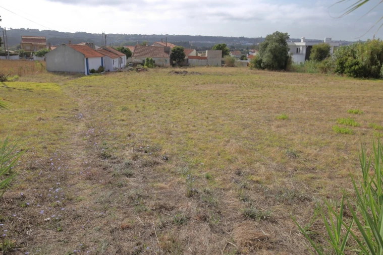 Terreno para Venda em Tornada e Salir do Porto Foto 6