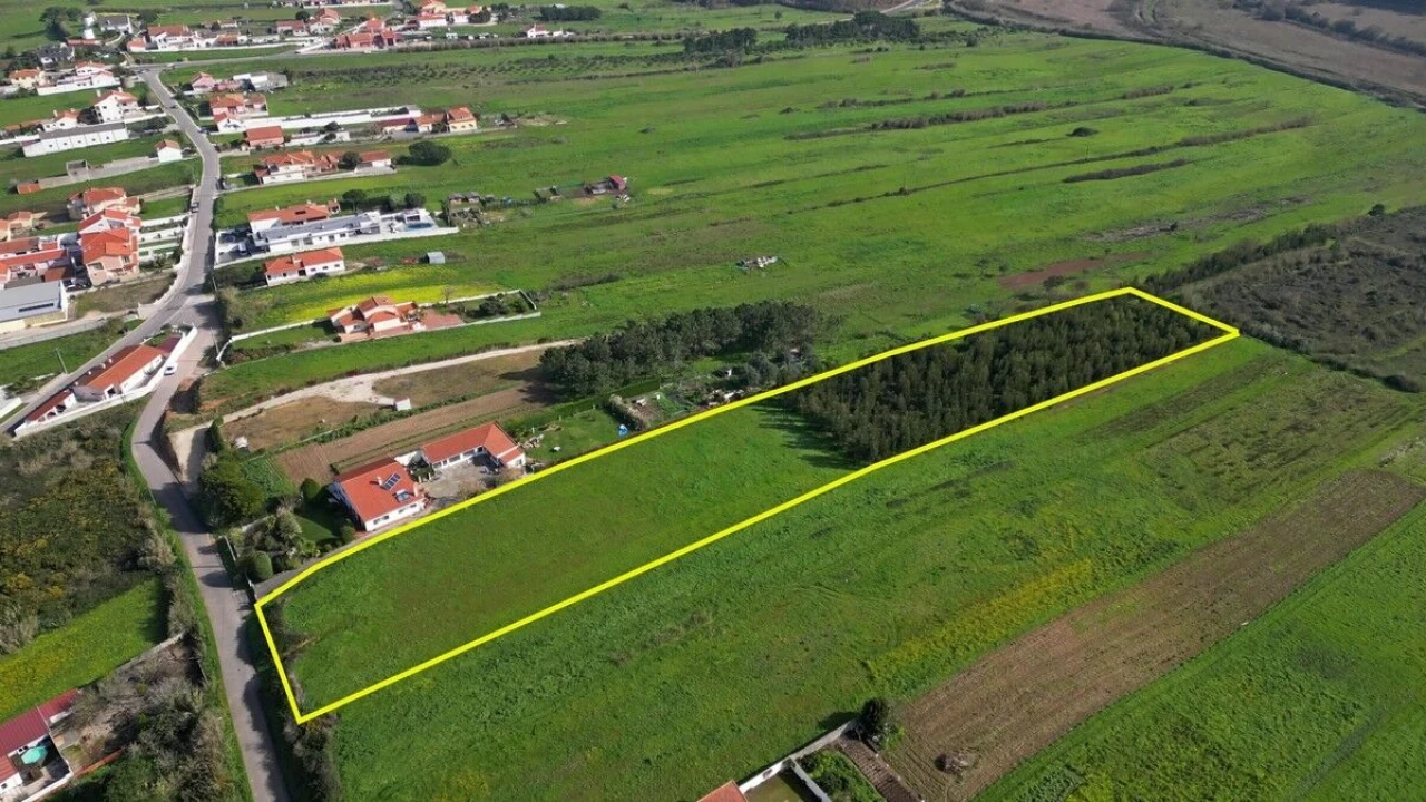 Terreno para Venda em Tornada e Salir do Porto Foto 2