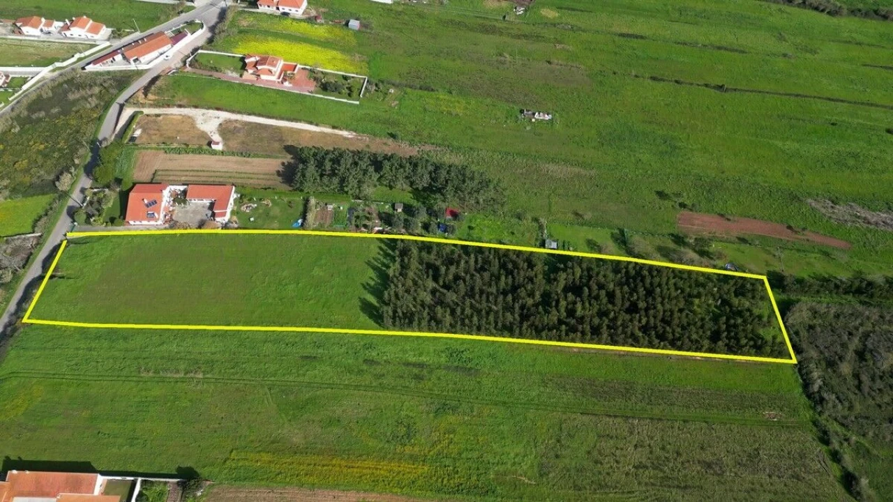 Terreno para Venda em Tornada e Salir do Porto Foto 4