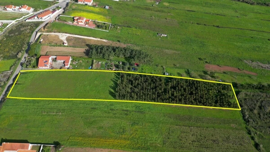 Terreno para Venda em Tornada e Salir do Porto Foto 4