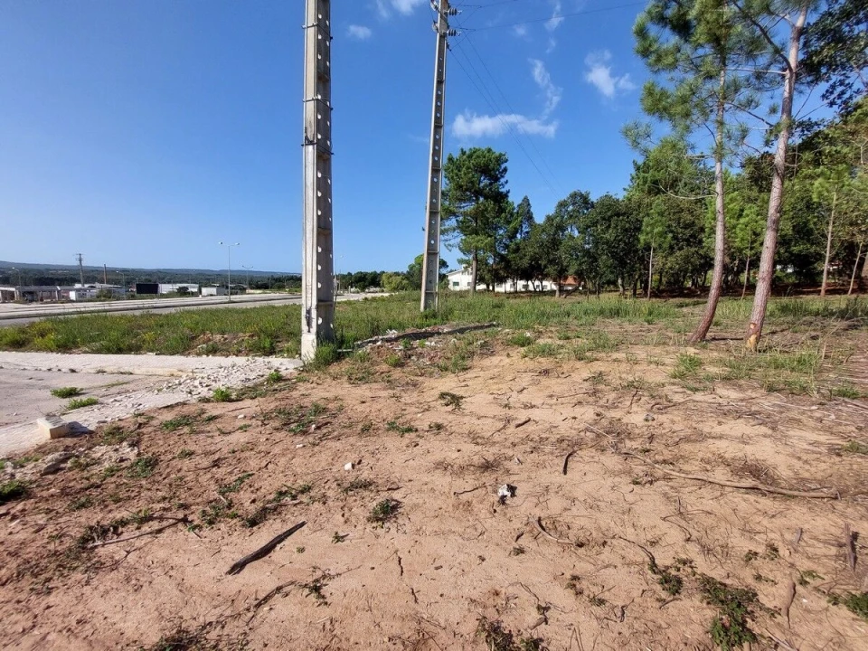 Terreno para Venda em Tornada e Salir do Porto Foto 7