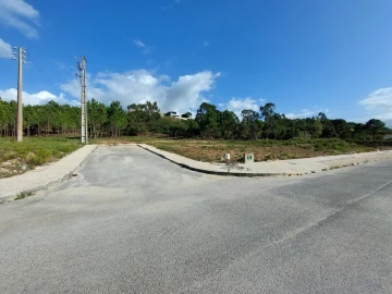 Terreno para Venda em Tornada e Salir do Porto