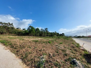 Terreno para Venda em Tornada e Salir do Porto